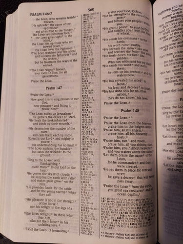 NIV Thinline Reference Bible