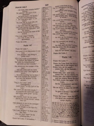 NIV Thinline Reference Bible