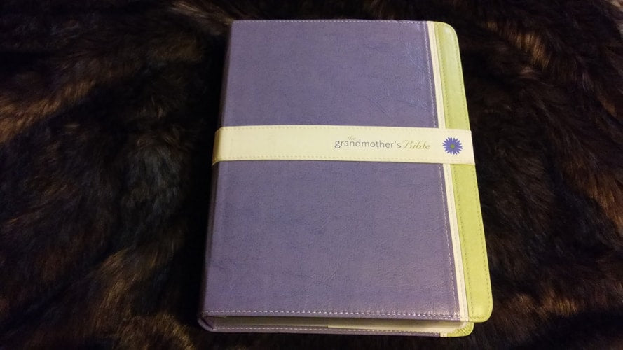 The Grandmother's Bible
