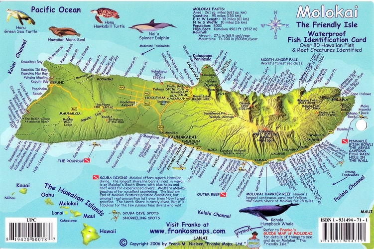 Molokai Hawaii Map & Coral Reef Creatures Guide Franko Maps Waterproof Fish Card