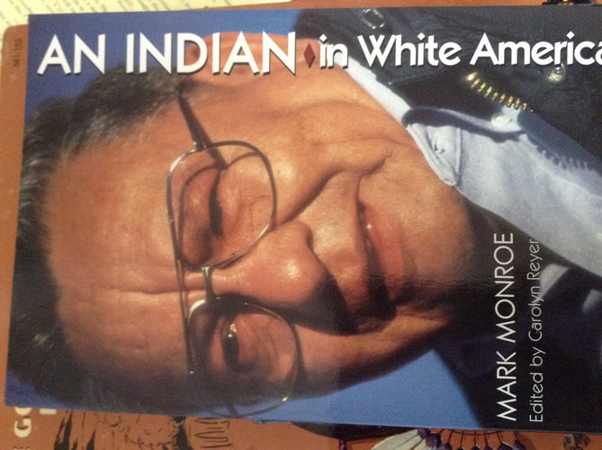 An Indian in White America