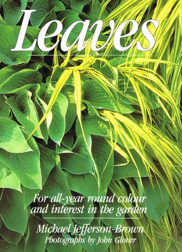 Leaves for all-year round colour and interest in the garden