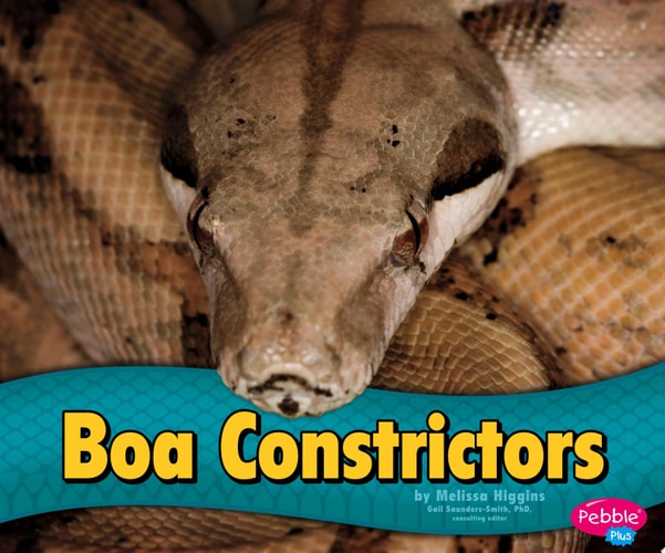 Boa Constrictors (Snakes)