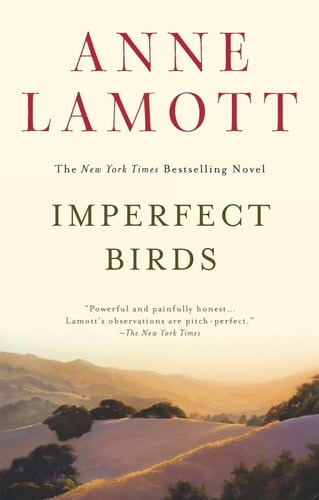 Imperfect Birds A Novel