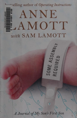 Some Assembly Required: A Journal of My Son's First Son