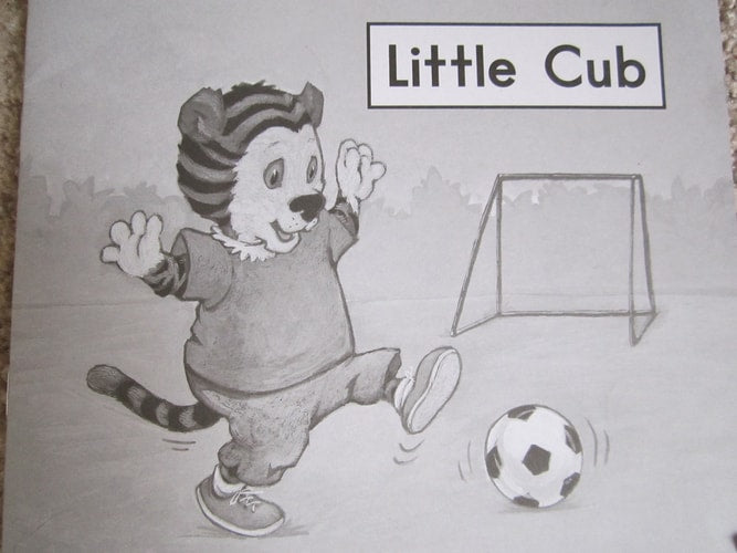 Little Cub (Fountas and Pinnell Leveled Literacy Intervention Books, Orange System, Level A, Book 20)