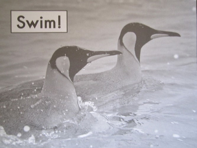 Swim! (Fountas and Pinnell Leveled Literacy Intervention Books, Green System, Level A, Book 34)