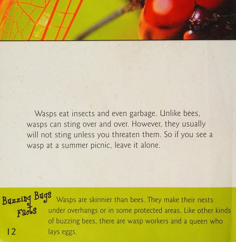 Buzzing Bugs (My First Library)