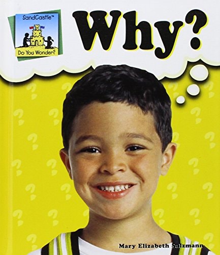 Why? (Do You Wonder?)