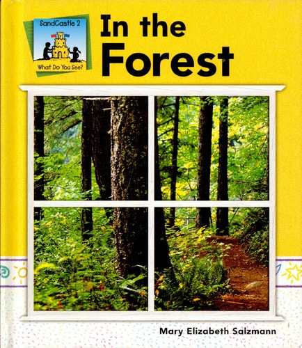 In the Forest (What Do You See?)