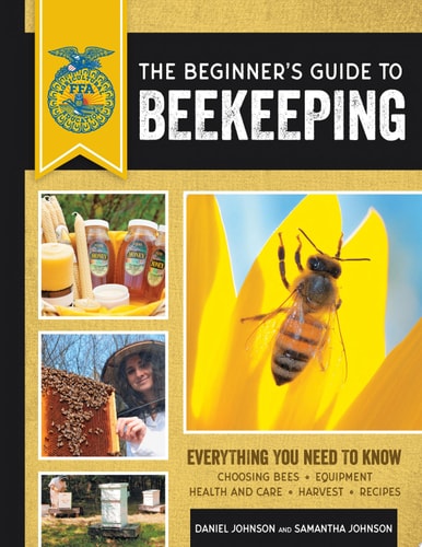 The Beginner's Guide to Beekeeping Everything You Need to Know