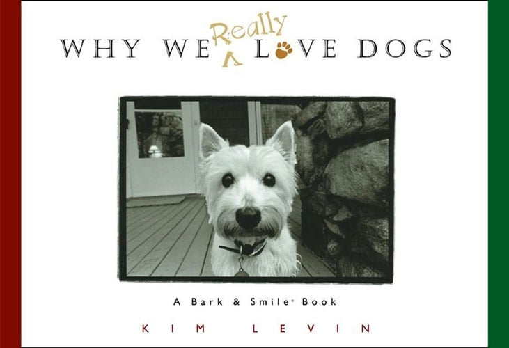 Why We Really Love Dogs