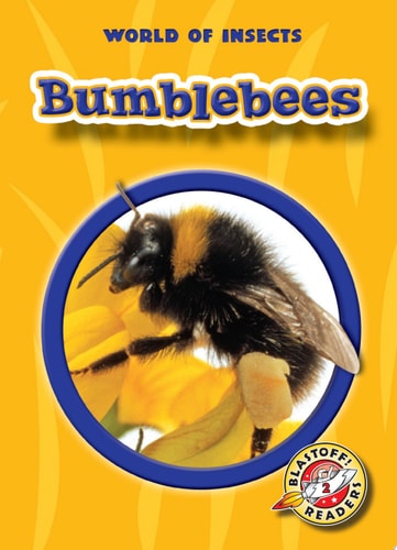 Bumblebees (Blastoff! Readers: World of Insects) (Blastoff Readers. Level 2)