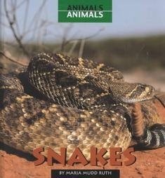 Snakes (Animals, Animals)