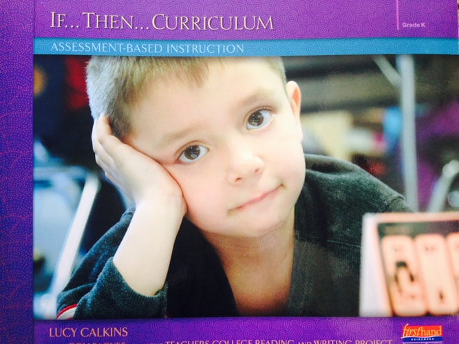 If--Then--Curriculum: Assessment-Based Instruction, Kindergarten