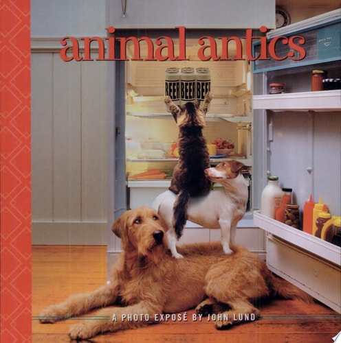 Animal Antics: A Photo Expose
