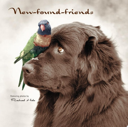 New-found-friends
