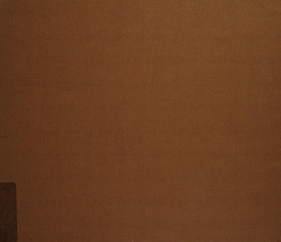 1900 (A Studio Book)