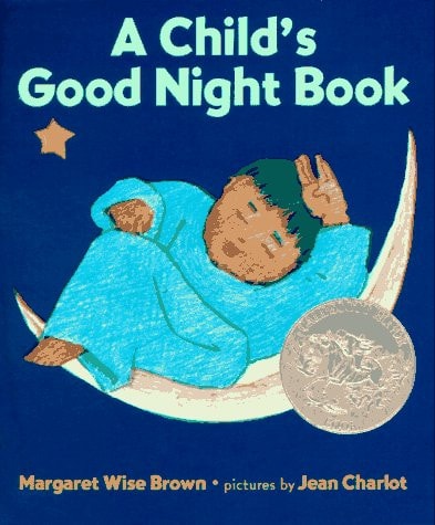 A Child's Good Night Book Board Book