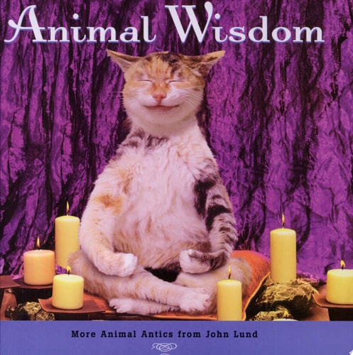 Animal Wisdom : More Animal Antics from John Lund