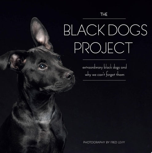 The Black Dogs Project: Extraordinary Black Dogs and Why We Can't Forget Them