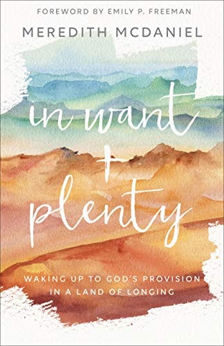 In Want + Plenty: Waking Up to God’s Provision in a Land of Longing