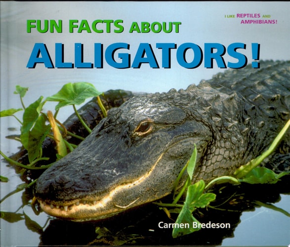 Fun Facts About Alligators! (I Like Reptiles and Amphibians!)