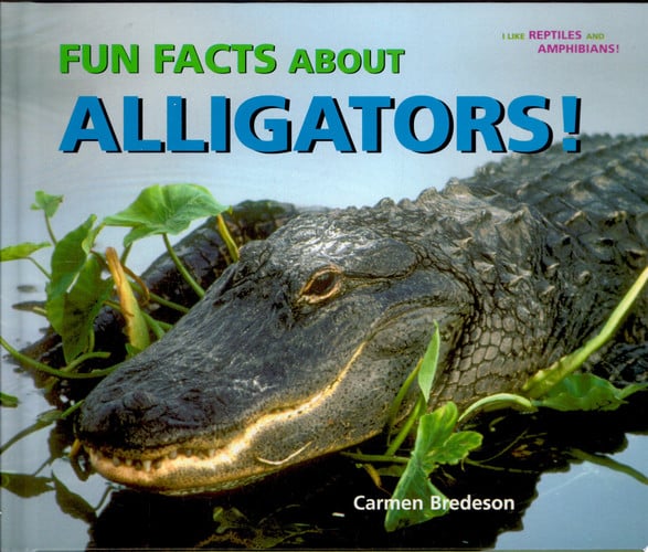 Fun Facts About Alligators! (I Like Reptiles and Amphibians!)