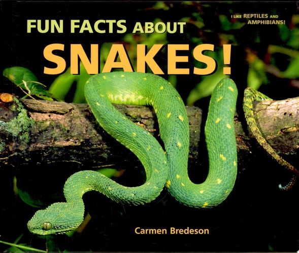 Fun Facts About Snakes! (I Like Reptiles and Amphibians!)
