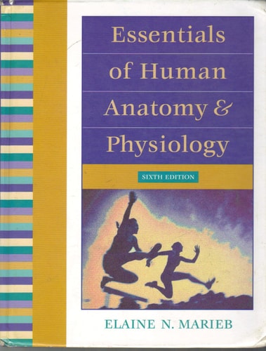 Essentials of Human Anatomy & Physiology