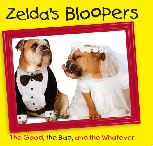 Zelda's Bloopers: The Good, the Bad, and the Whatever
