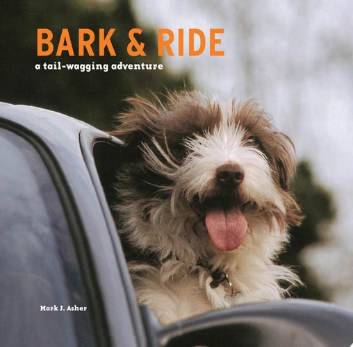 Bark And Ride: A Tail-Wagging Adventure