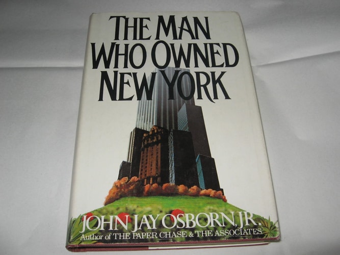The man who owned New York: A novel