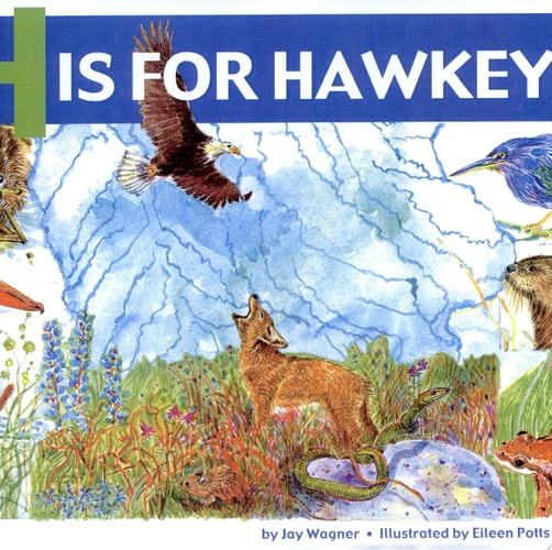 H Is for Hawkeye