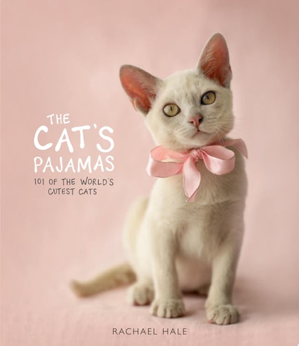 The Cat's Pajamas: 101 of the World's Cutest Cats