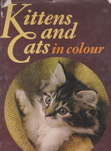 Kittens and Cats in Colour