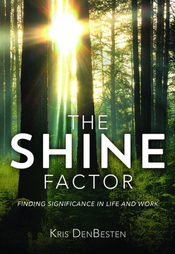 The Shine Factor