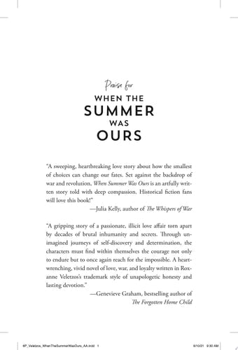 When the Summer Was Ours A Novel
