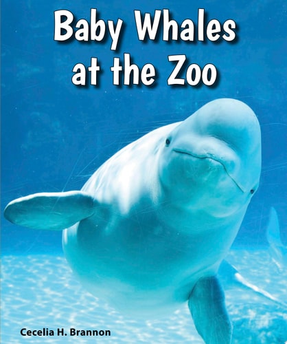 Baby Whales at the Zoo (All About Baby Zoo Animals)