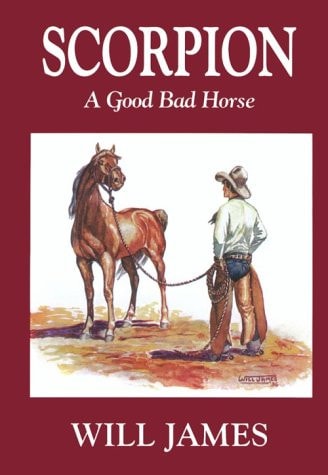 Scorpion: A Good Bad Horse (Tumbleweed Series)