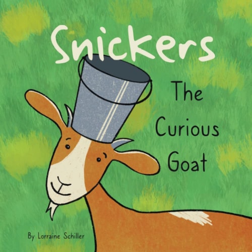 Snickers the Curious Goat