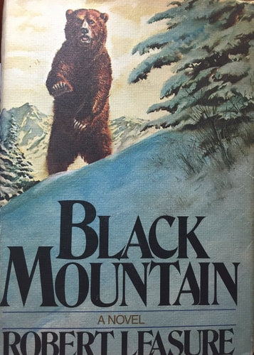 Black Mountain: A novel