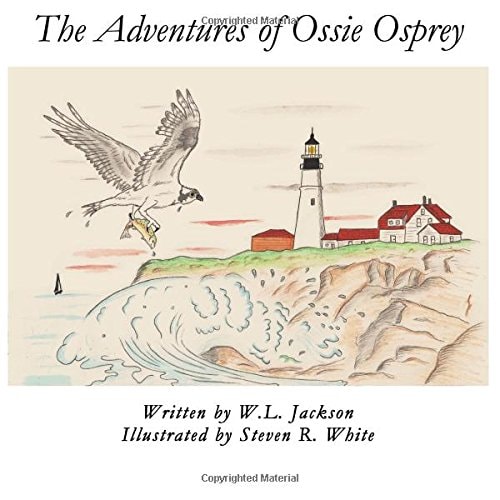 The Adventures of Ossie Osprey