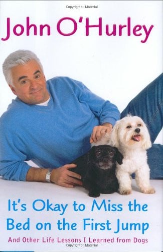 It's Okay to Miss the Bed on the First Jump: And Other Life Lessons I Learned from Dogs