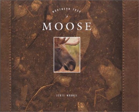 Moose (Northern Trek)
