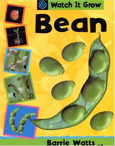 Bean (Watch It Grow)