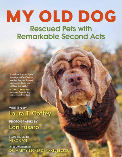 My Old Dog Rescued Pets with Remarkable Second Acts