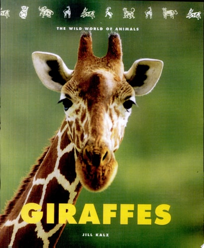 Giraffes: The Wild World of Animals