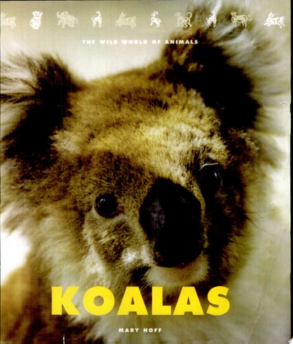 Koalas: The Wild World of Animals