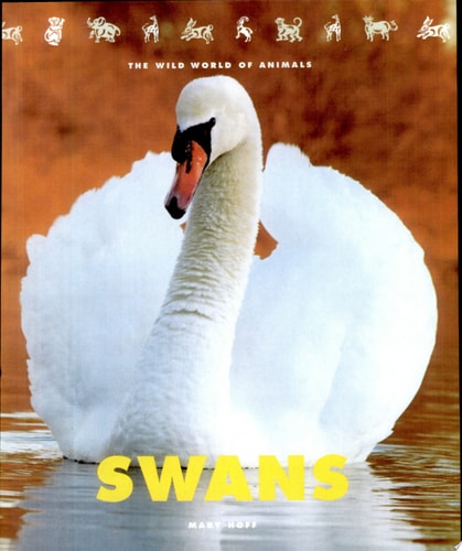Swans: The Wild World of Animals